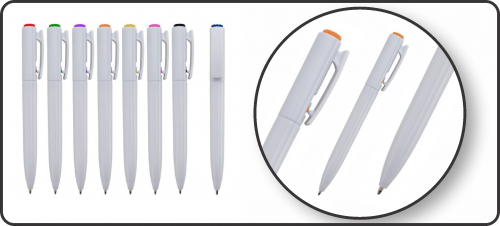 Caneta Plástica Comum